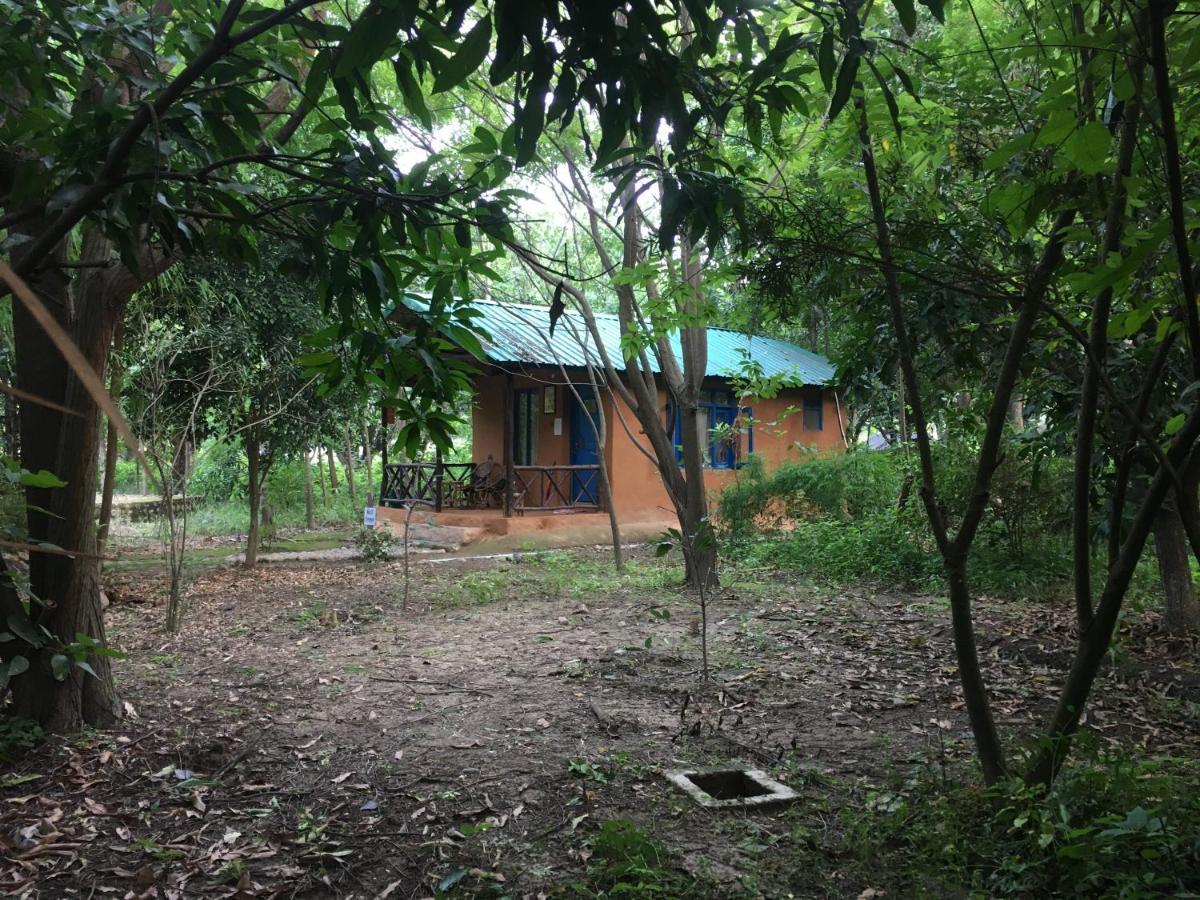 Camp Hornbill Corbett Hotel Рамнагар Екстериор снимка