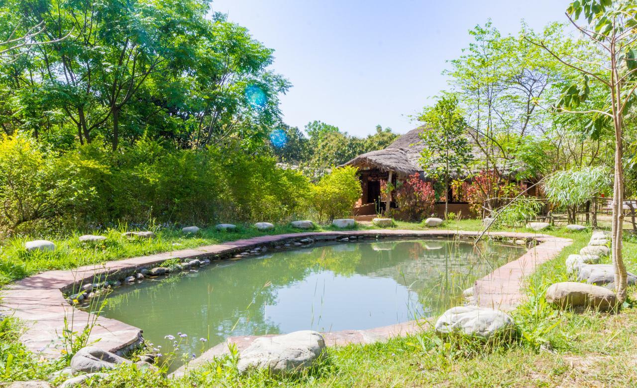 Camp Hornbill Corbett Hotel Рамнагар Екстериор снимка